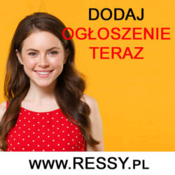 Gewerbe bez zameldowania Niemczech carebiuro.click